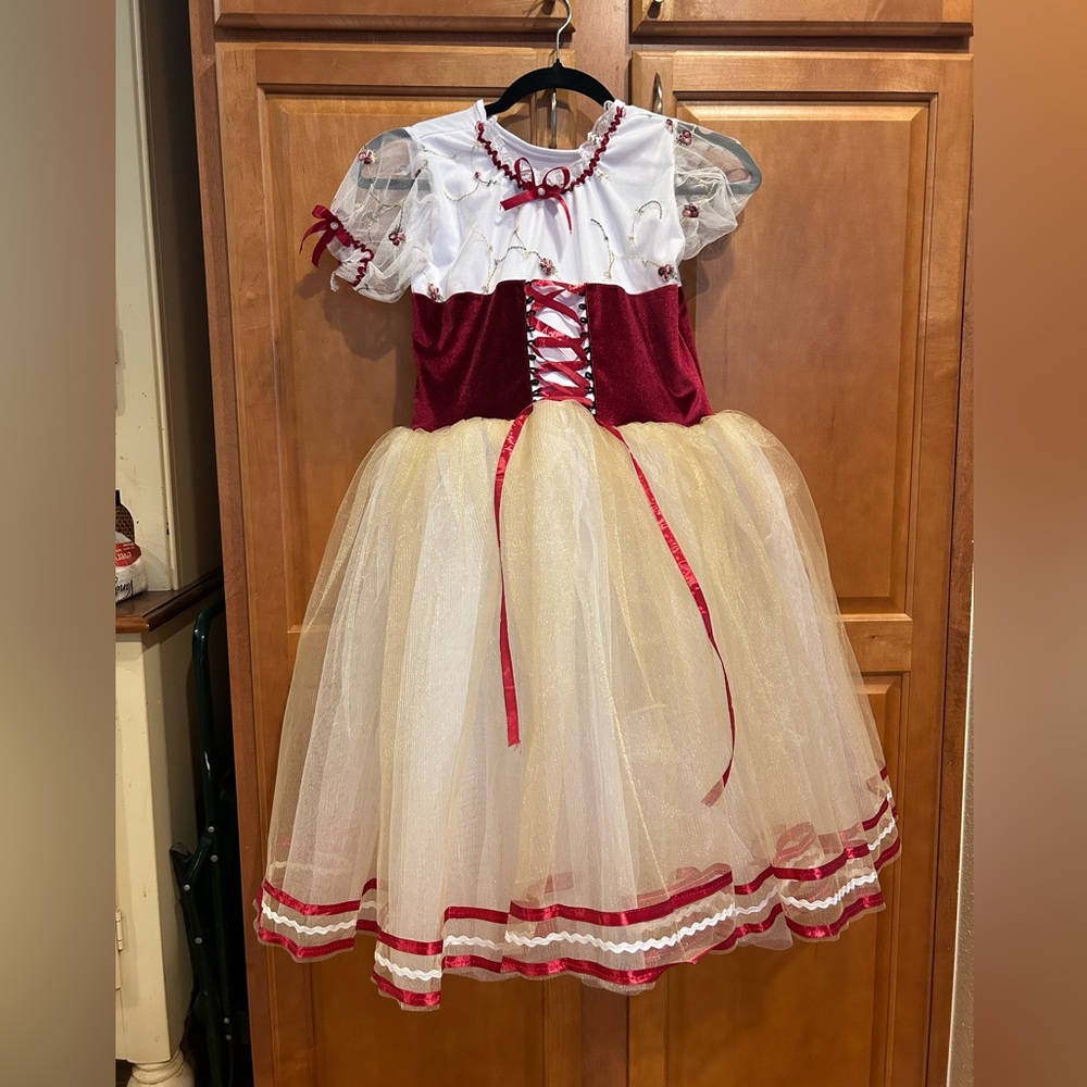 Ballet Tutu Skirt Tulle Costume Dress, Kids Medium, Red Wine color